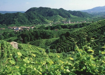 Un paesaggio da tutelare tra le colline del Prosecco