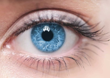 Lo sguardo incantato