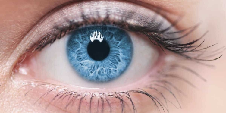 Lo sguardo incantato