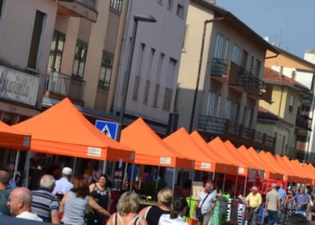 Musica, food, moto: a Spinea serata di beneficenza pro Avapo