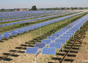 Confragricoltura sostiene l’agrivoltaico: il progetto per Ca’Solaro