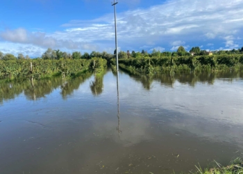 Campi allagati a Spercenigo: risarcimenti assicurati