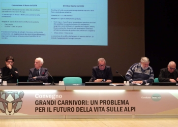 Salsa: “La montagna non è un sogno americano, è uno spazio di vita”