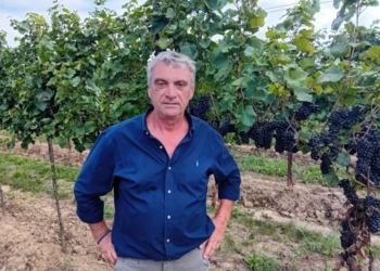 Col San Martino: gli esoscheletri per alleviare le fatiche degli agricoltori