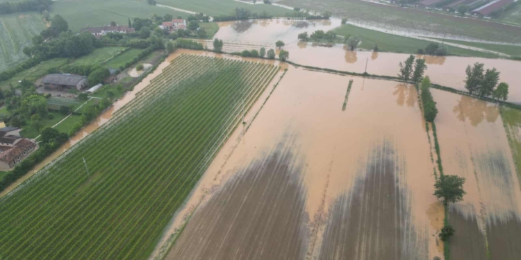 Imprese della Marca: 5 milioni di contributi sulle polizze