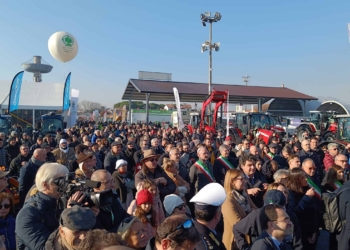 Edizione N1364 per la Fiera Internazionale di Santa Lucia