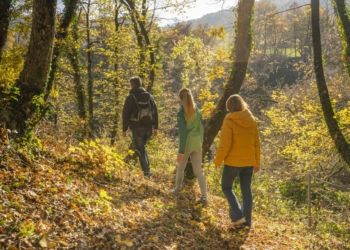 Alla ricerca del sentiero