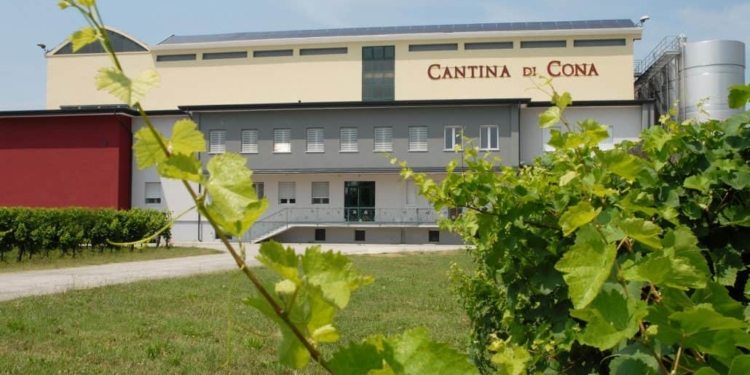 Alla Cantina di Cona 280 mila quintali di uva, cresce il Prosecco