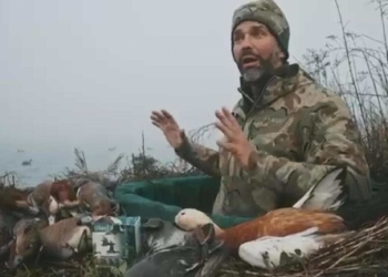 Caccia in laguna, Donald Duck e la povera casarca