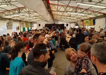 Chies d’Alpago: 5 scultori del legno per far rivivere il Grande Faggio