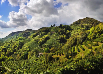 Un documentario racconta quant’è gioiosa la Marca Trevigiana