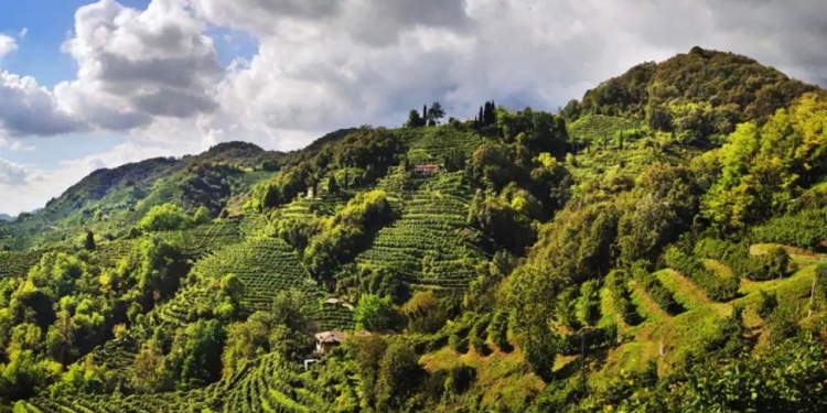 Un documentario racconta quant’è gioiosa la Marca Trevigiana