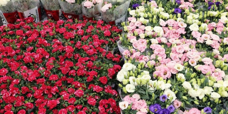 A Mirano un 25 Aprile in mezzo alla festa dei fiori