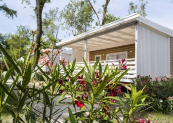 Mare e natura: l’estate tra Isola Verde e Parco del Delta del Po