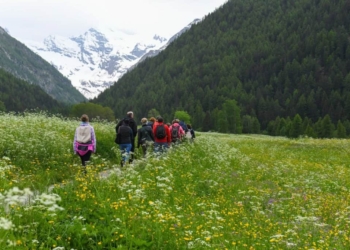 Il gusto incontra la tradizione ai piedi del Gran Paradiso
