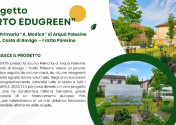 Ecologia in miniatura