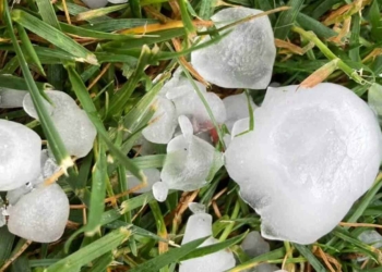 Grandinate e piogge sui vigneti e colture. L’appello di Nadal