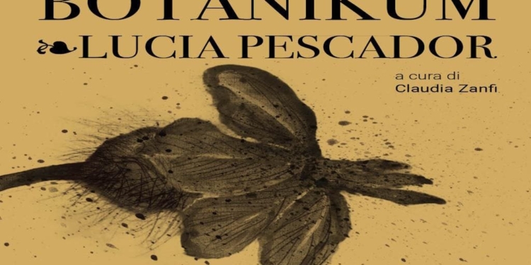 “Botanikum”: a Padova la camera delle meraviglie di Lucia Pescador