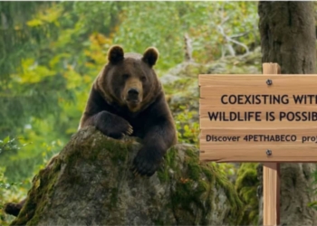 Amici degli orsi? Si può. Un progetto europeo con Venetian Cluster