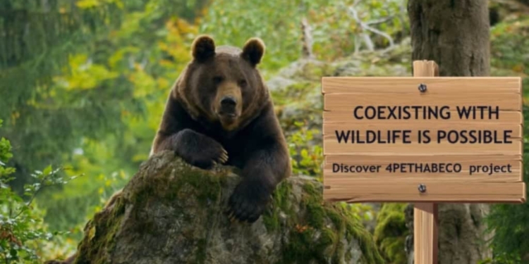 Amici degli orsi? Si può. Un progetto europeo con Venetian Cluster