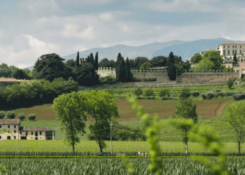 Vite in campo 2025; una “due giorni” per l’innovazione in agricoltura