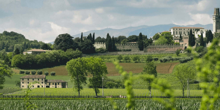 Vite in campo 2025; una “due giorni” per l’innovazione in agricoltura