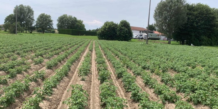 La scalata dei giovani agricoltori. Naletto a Dolo: “scelto dalla terra”