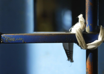 Suicidi in carcere: emergenza sociale e sconfitta dello Stato