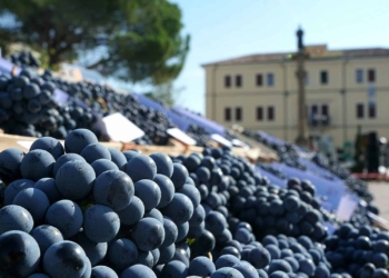 Torna la Festa dell’Uva di Vo’, dal 19 al 21 settembre 2025