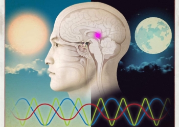 Ritmi biologici e ritmi tecnologici