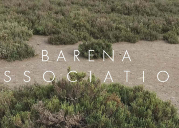 Allison, un’artista in barena. Così salviamo la Laguna Nord