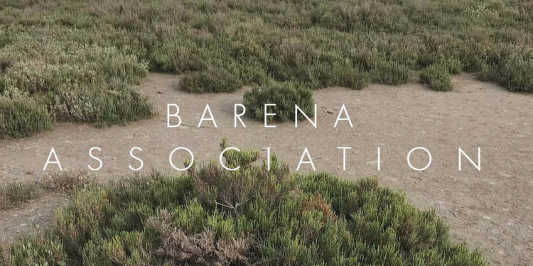 Allison, un’artista in barena. Così salviamo la Laguna Nord