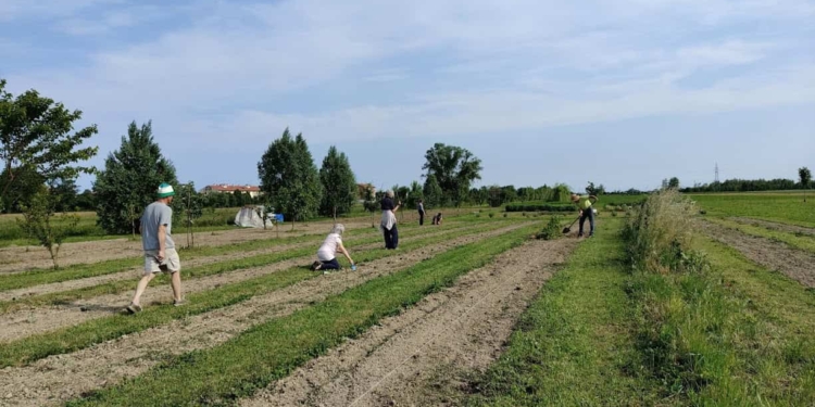 Cristina l’archicoltrice e  la “Campagna felice”