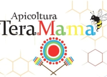 Alveari dalla barena ai colli con Apicoltura “TeraMama”