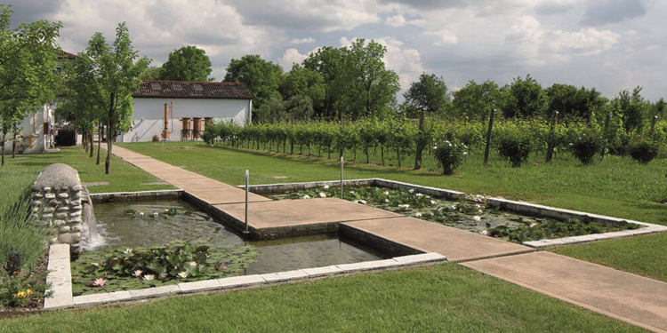 Nasce la foresta Bottega: vini e distillati per la sostenibilità ambientale