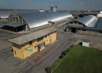 Maiscoltori di Cona, 6 milioni di euro di fatturato