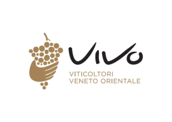 Vi.V.O. Cantine: bilancio 2025 tra solidità economica e spinta sull’estero