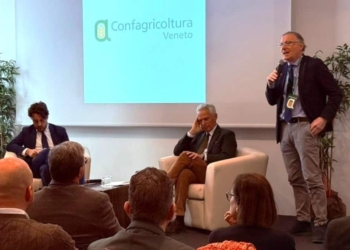 Appello al governo regionale: investimenti e sostegno ai produttori di cereali