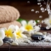 SPA & Wellness Manager Abano Terme
