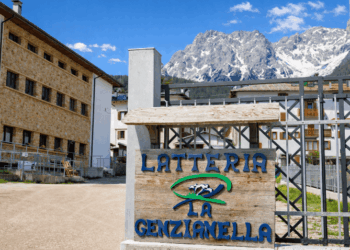 I formaggi “la Genzianella” punta di diamante di Lattebusche