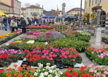 25 Aprile Festa dei fiori a Mirano