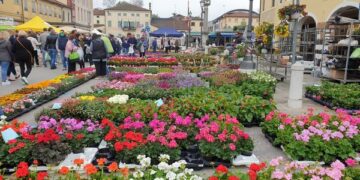 25 Aprile Festa dei fiori a Mirano