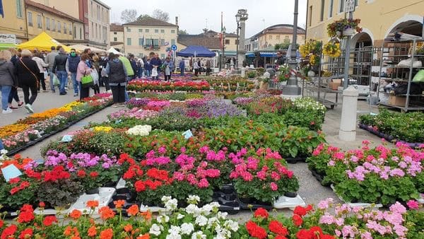 25 Aprile Festa dei fiori a Mirano