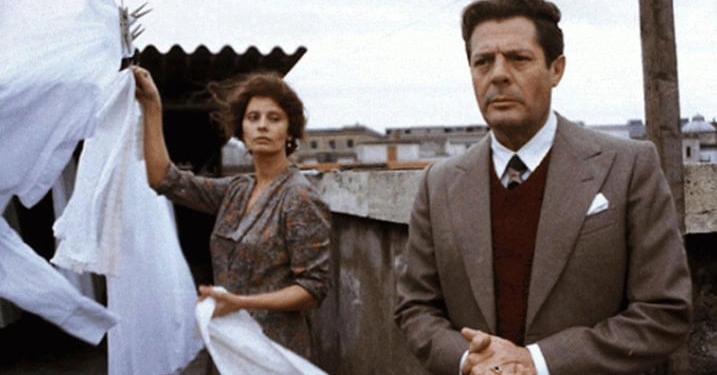 Su tutti: “Una giornata particolare” e “Bohemian Rapsody”
