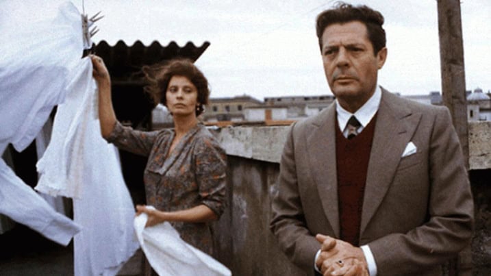 Su tutti: “Una giornata particolare” e “Bohemian Rapsody”