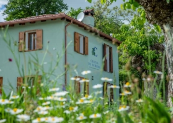 Nel cuore del Collio con Madi e Marco tra cibo, vino e libri