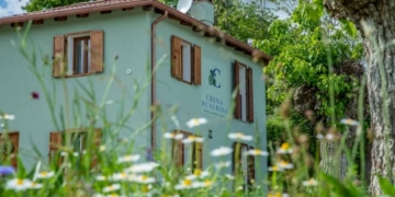 Nel cuore del Collio con Madi e Marco tra cibo, vino e libri