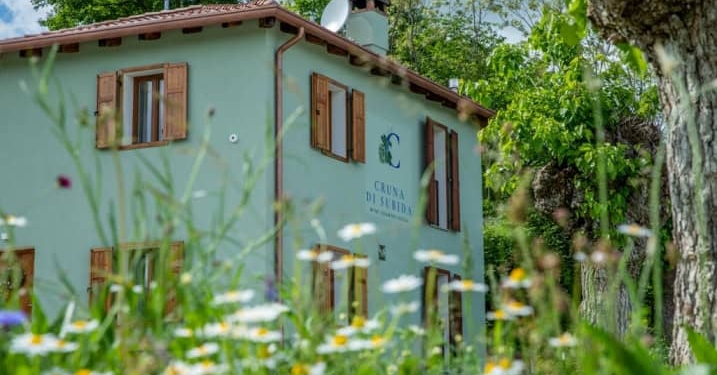 Nel cuore del Collio con Madi e Marco tra cibo, vino e libri