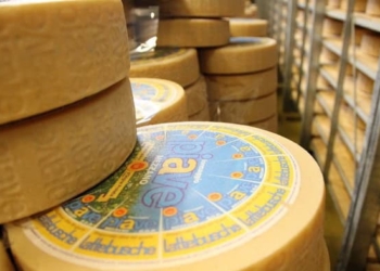 Il Piave di Lattebusche alla conquista del Giappone