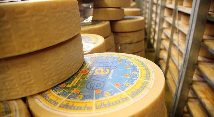 Il Piave di Lattebusche alla conquista del Giappone